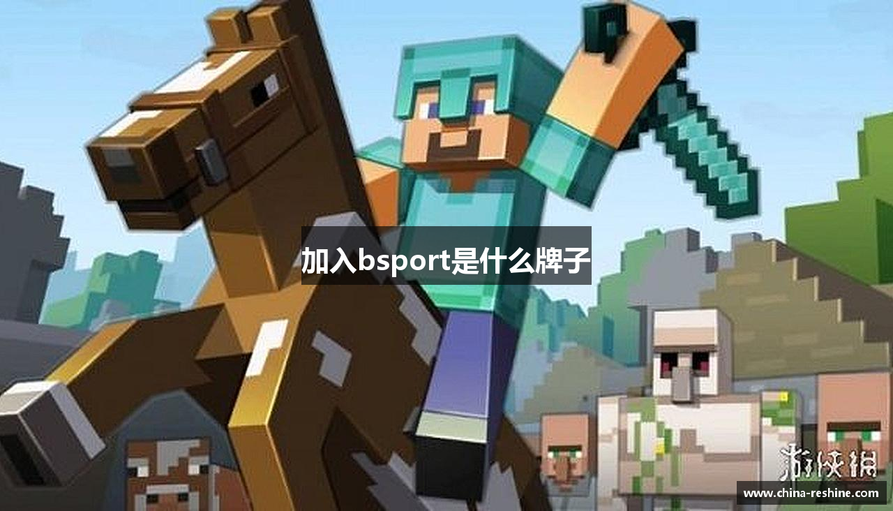加入bsport是什么牌子